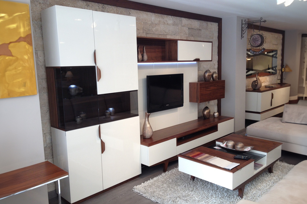 DMC-5 TV ÜNİTESİ