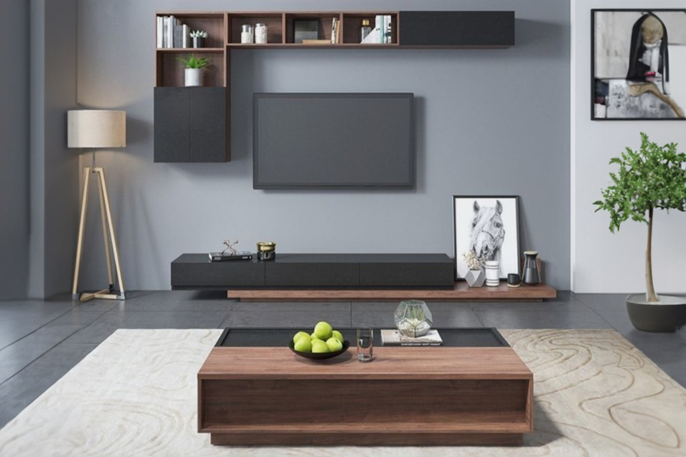 DMC-15 TV ÜNİTESİ