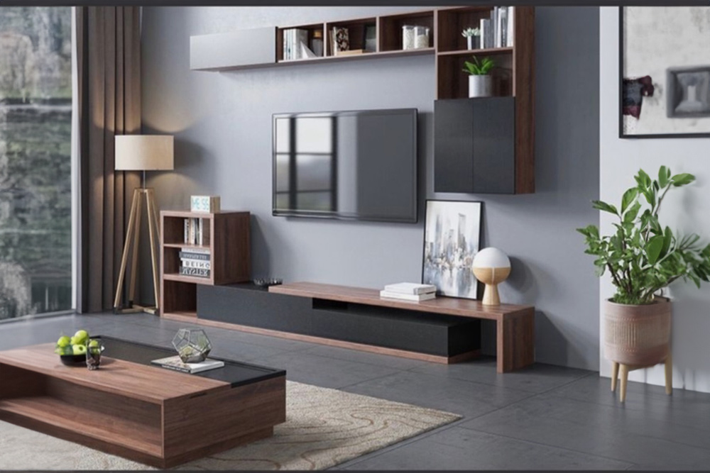 DMC-3 TV ÜNİTESİ - Görsel 3