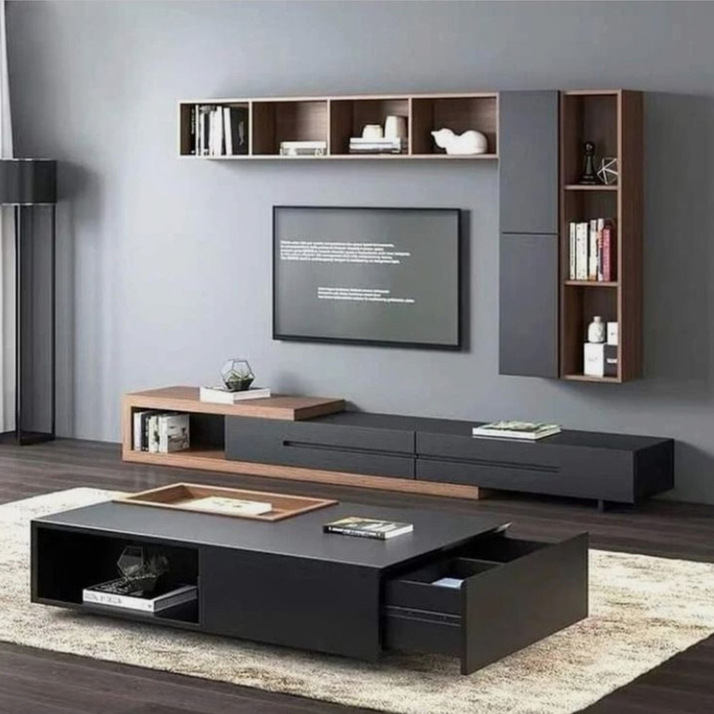 DMC-17 TV ÜNİTESİ